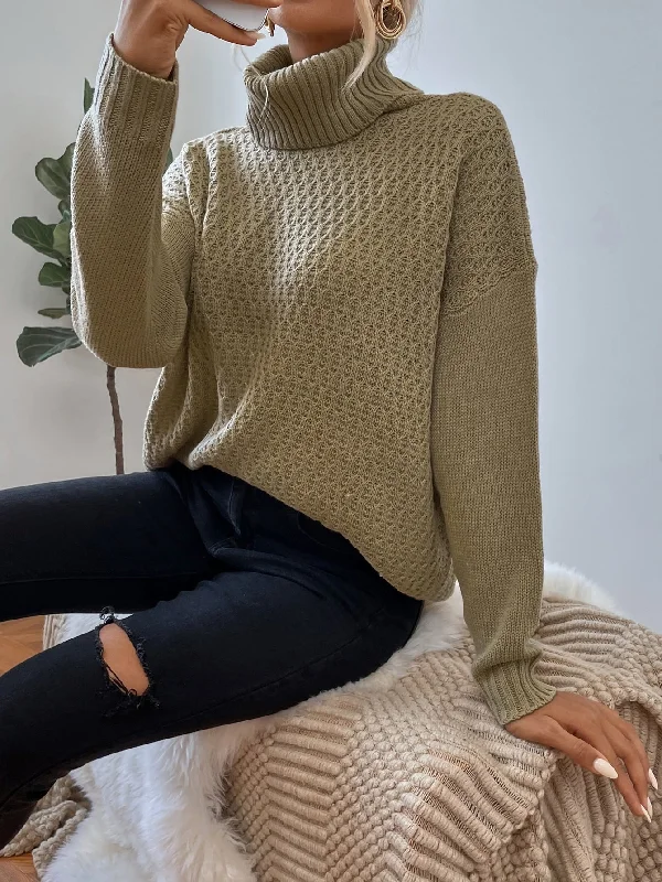 Casual Plain Long Sleeve High Neck Regular Women Sweater