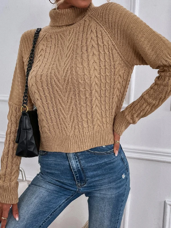 Casual Plain Long Sleeve High Neck Regular Women Sweater